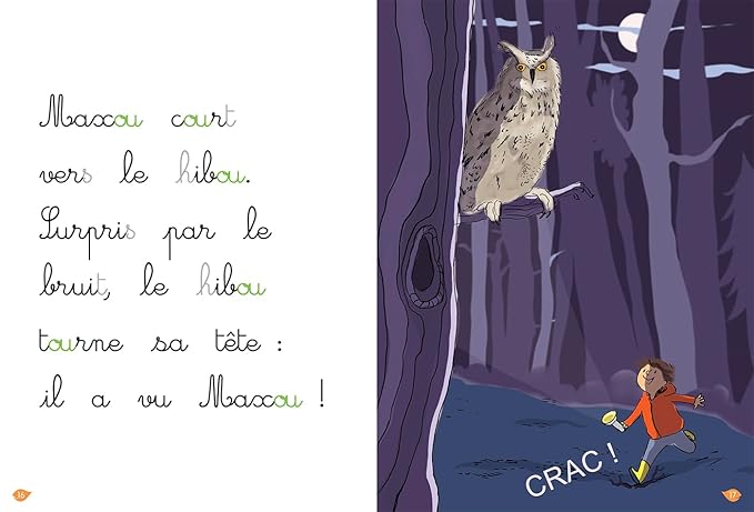 La Noche del Búho, Nivel 2 - Aprendo a Leer Montessori