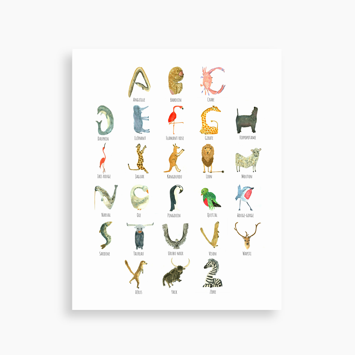 Abécédaire - 30x42cm - Little Bourricot