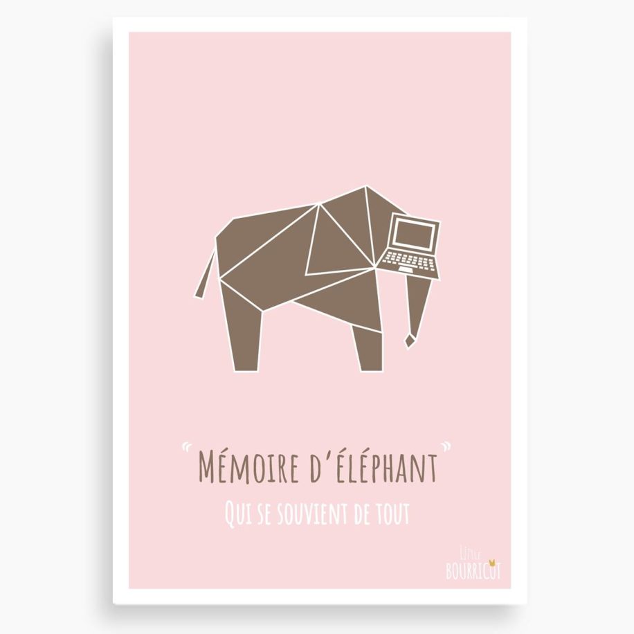 Tarjetas pequeñas de expresión en francés - Elefante - Little Bourricot
