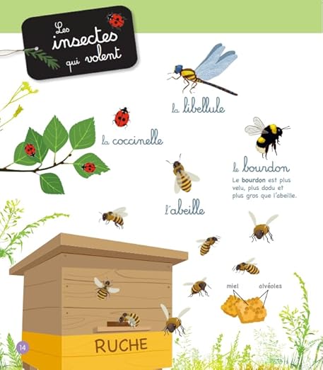Gran libro ilustrado Montessori de la naturaleza y los animales.