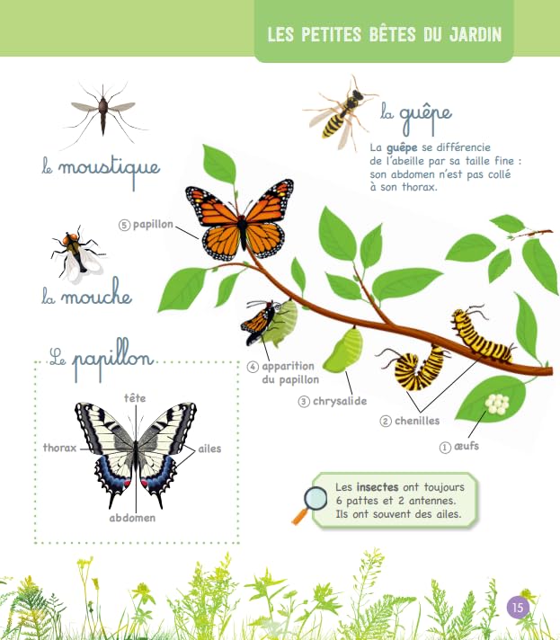 Gran libro ilustrado Montessori de la naturaleza y los animales.