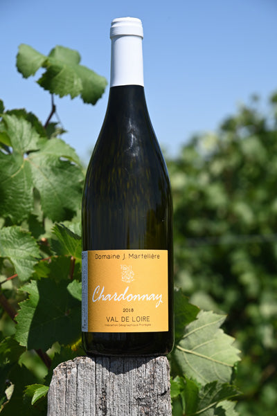 IGP Chardonnay Blanc  l Domaine J. Martellière