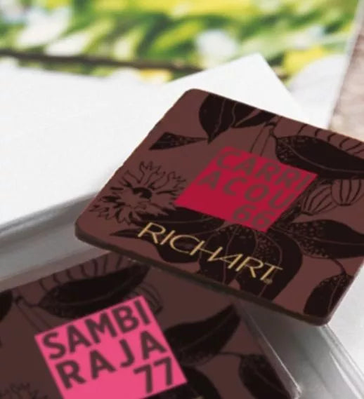 Coffret Palet Dégustation Noir 16 pièces- Chocolatier Richart