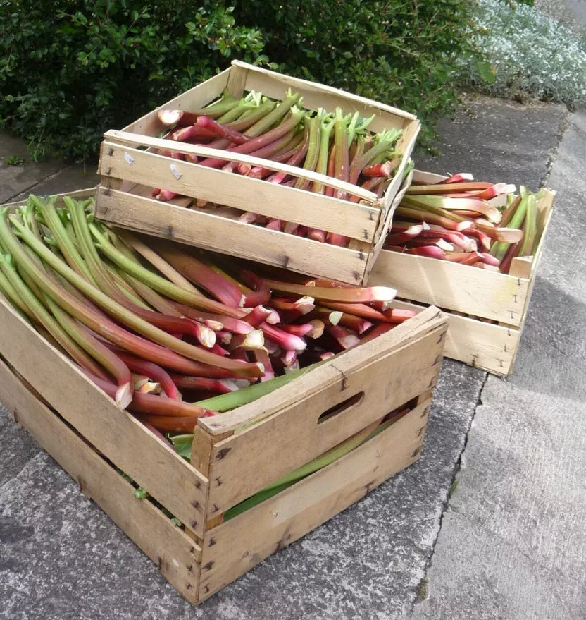 Confiture extra Rhubarbe d'Alsace 220g  - Les Confitures de la Hoube