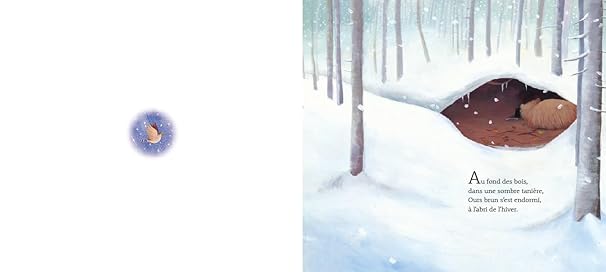 Tu ronfles, Ours brun (3+) - Larousse Jeunesse