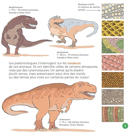 "Le T. rex, fascinant roi du Crétacé"  Mes P'tits Docs + (7-11 ans) - Edition Milan