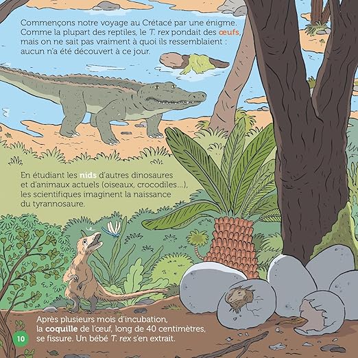 "Le T. rex, fascinant roi du Crétacé"  Mes P'tits Docs + (7-11 ans) - Edition Milan