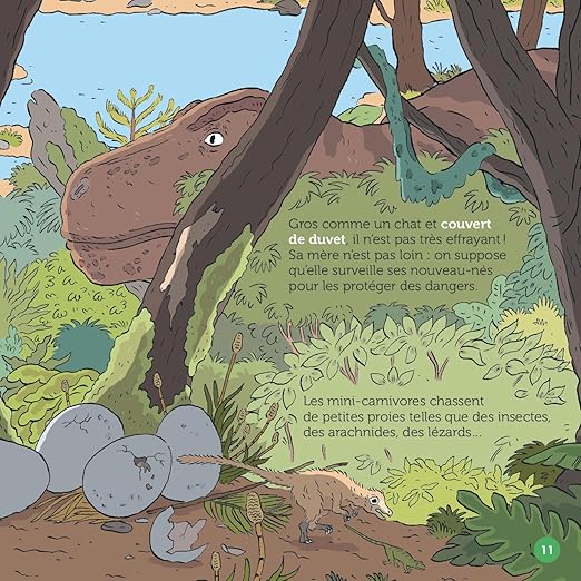 "Le T. rex, fascinant roi du Crétacé"  Mes P'tits Docs + (7-11 ans) - Edition Milan